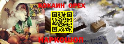 mdpv Гатчина