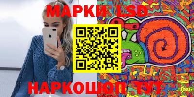 mdpv Гатчина