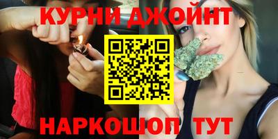mdpv Гатчина