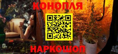 спайс Гай