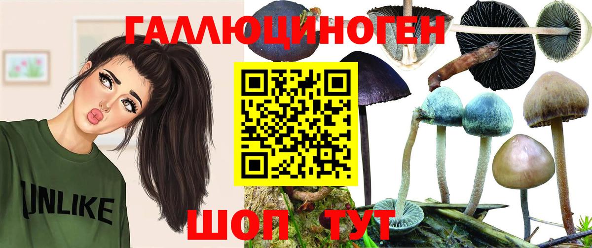 Галлюциногенные грибы GOLDEN TEACHER Белореченск