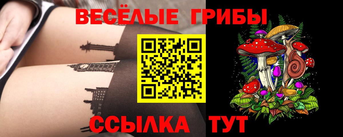 Галлюциногенные грибы GOLDEN TEACHER  Вход с VPN  Белореченск 